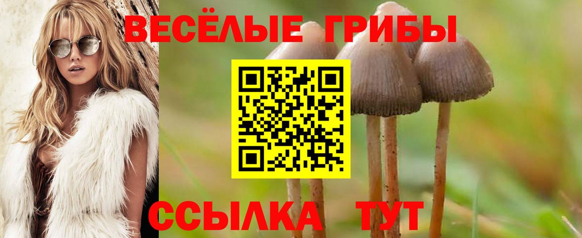 Галлюциногенные грибы MAGIC MUSHROOMS Губкин