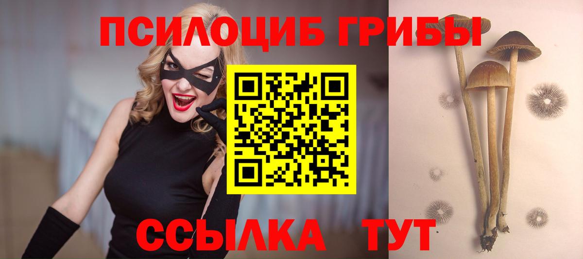 Псилоцибиновые грибы ЛСД  Псилоцибиновые грибы мицелий  Губкин  Вход с VPN 